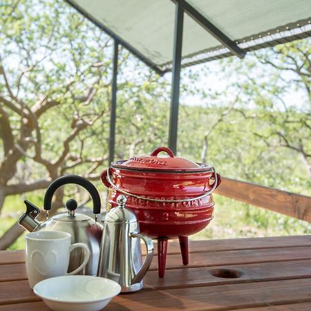 Etosha Safari Camping2Go Okaukuejo Rum bild