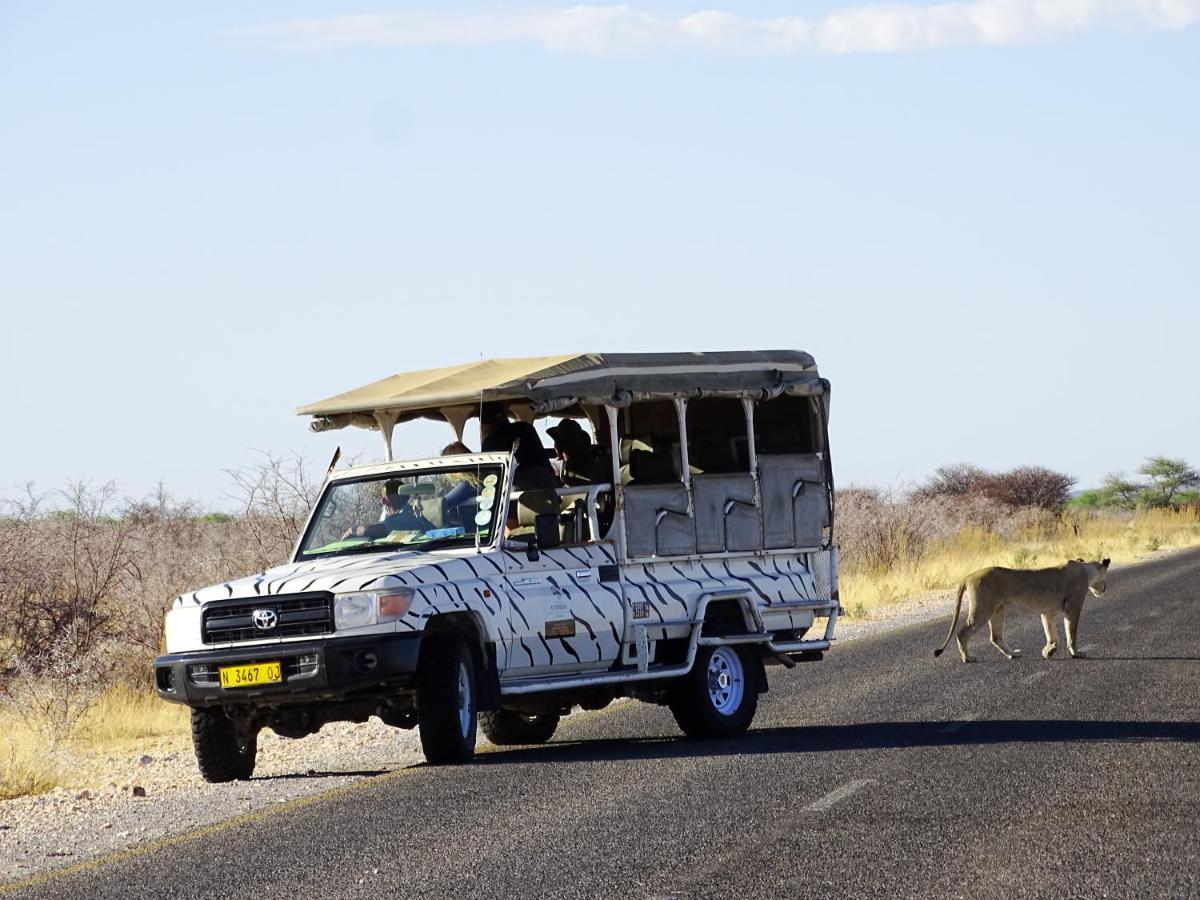 Etosha Safari Camping2Go Okaukuejo Exteriör bild