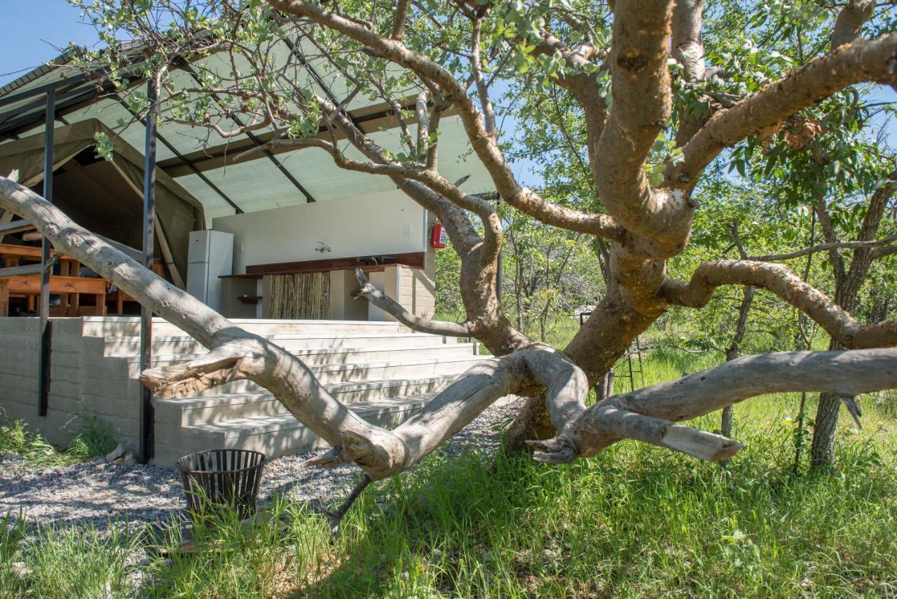 Etosha Safari Camping2Go Okaukuejo Exteriör bild